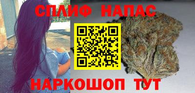 дживик Можга