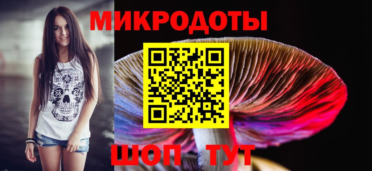 Галлюциногенные грибы Cubensis Грязи
